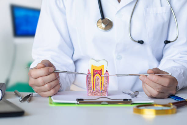 Best Emergency Treatment for Dental Infections or Abscesses in Delavan Lake, WI
